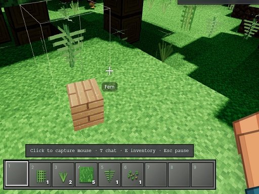 Fronteira Voxel